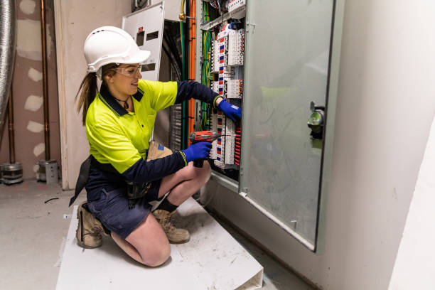 Best Electric Panel Repair  in St Louis Park, MN